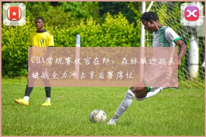CBA常规赛收官在即,森林狼迎战关键战全力冲击季后赛席位 - 虎扑体育推荐