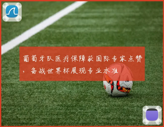 葡萄牙队医疗保障获国际专家点赞,备战世界杯展现专业水准 - 虎扑体育推荐