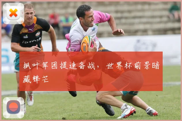 枫叶军团提速备战，世界杯前景暗藏锋芒 - 虎扑体育推荐