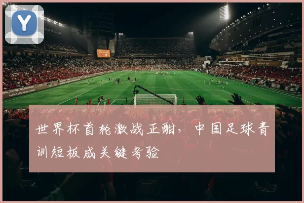 世界杯首轮激战正酣,中国足球青训短板成关键考验 - 虎扑体育推荐